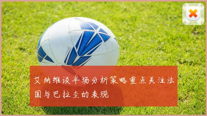 艾纳维谈半场分析策略重点关注法国与巴拉圭的表现