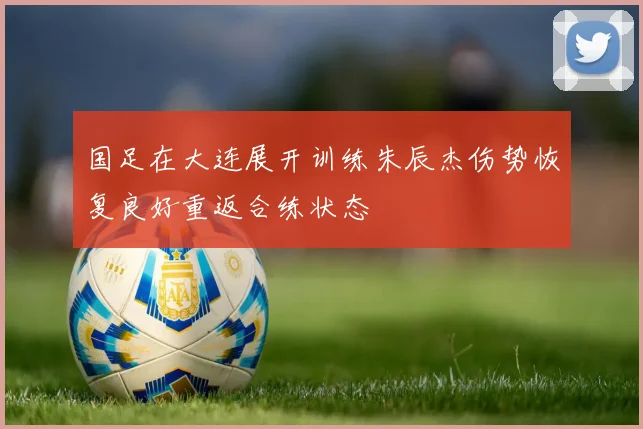 国足在大连展开训练朱辰杰伤势恢复良好重返合练状态
